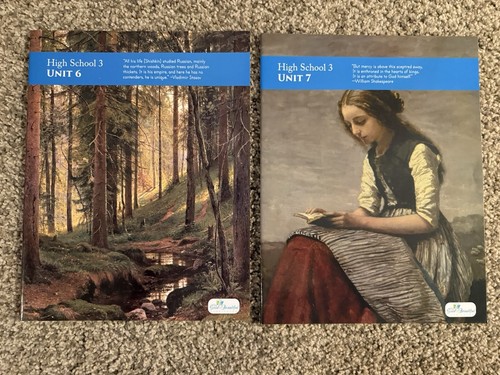 The Good And The Beautiful High School Language Arts Novels Lot Level 3 9/10 - Picture 4 of 7
