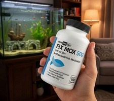 AMOXICILLIN AQUA 500 Fast Solutions for Bacte...