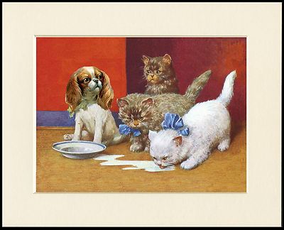 CAVALIER KING CHARLES SPANIEL PUPPY AND KITTENS DOG