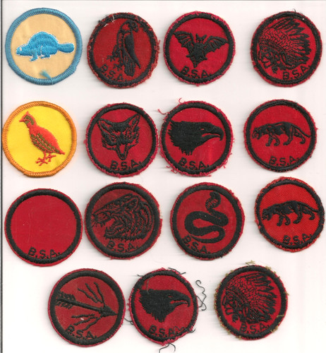 LOT OF 15 PATROL MEDALLIONS  BSA