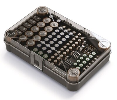 Batteriebox Organizer Sortierbox Aufbewahrungsbox für 115 Batterien Akku Box