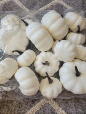16 Pack Fake Artificial White Pumpkins Black Stem Halloween Thanksgiving Fall