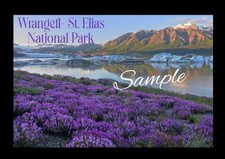Wrangell-St. Elias National Park Alaska Flexible Fridge Magnet -0272