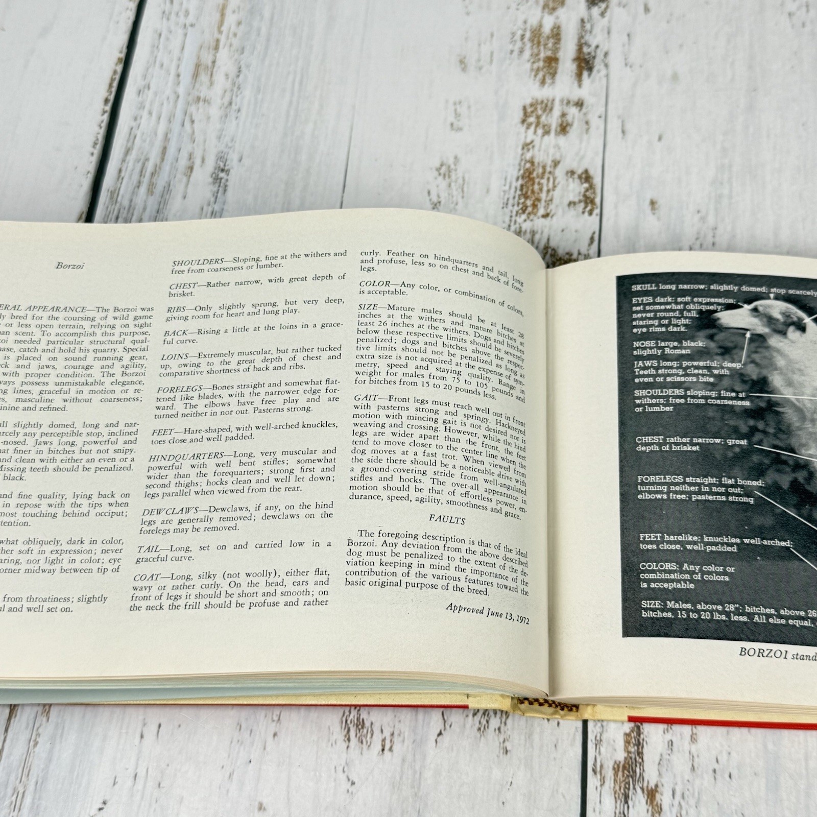 DOGS STANDARDS ILLUSTRATED Visualizations of AKC Recognized Breeds 1977 HB Book