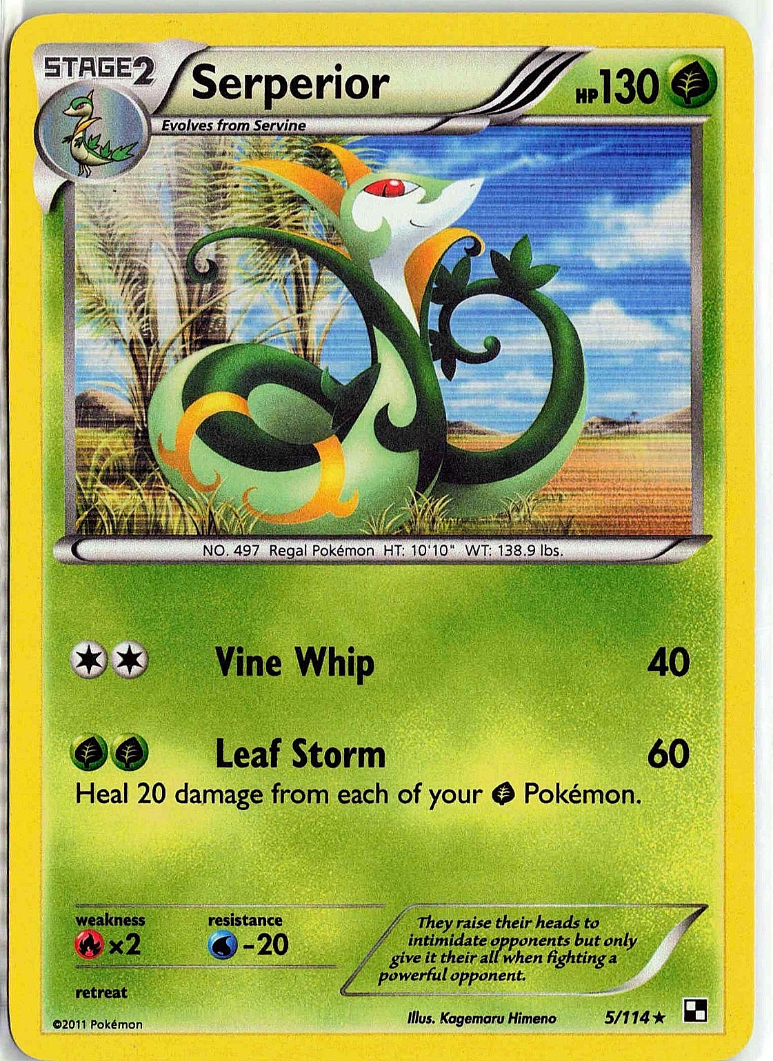 Serperior 5/114 Black & White Base Set Holo Rare Pokemon Card