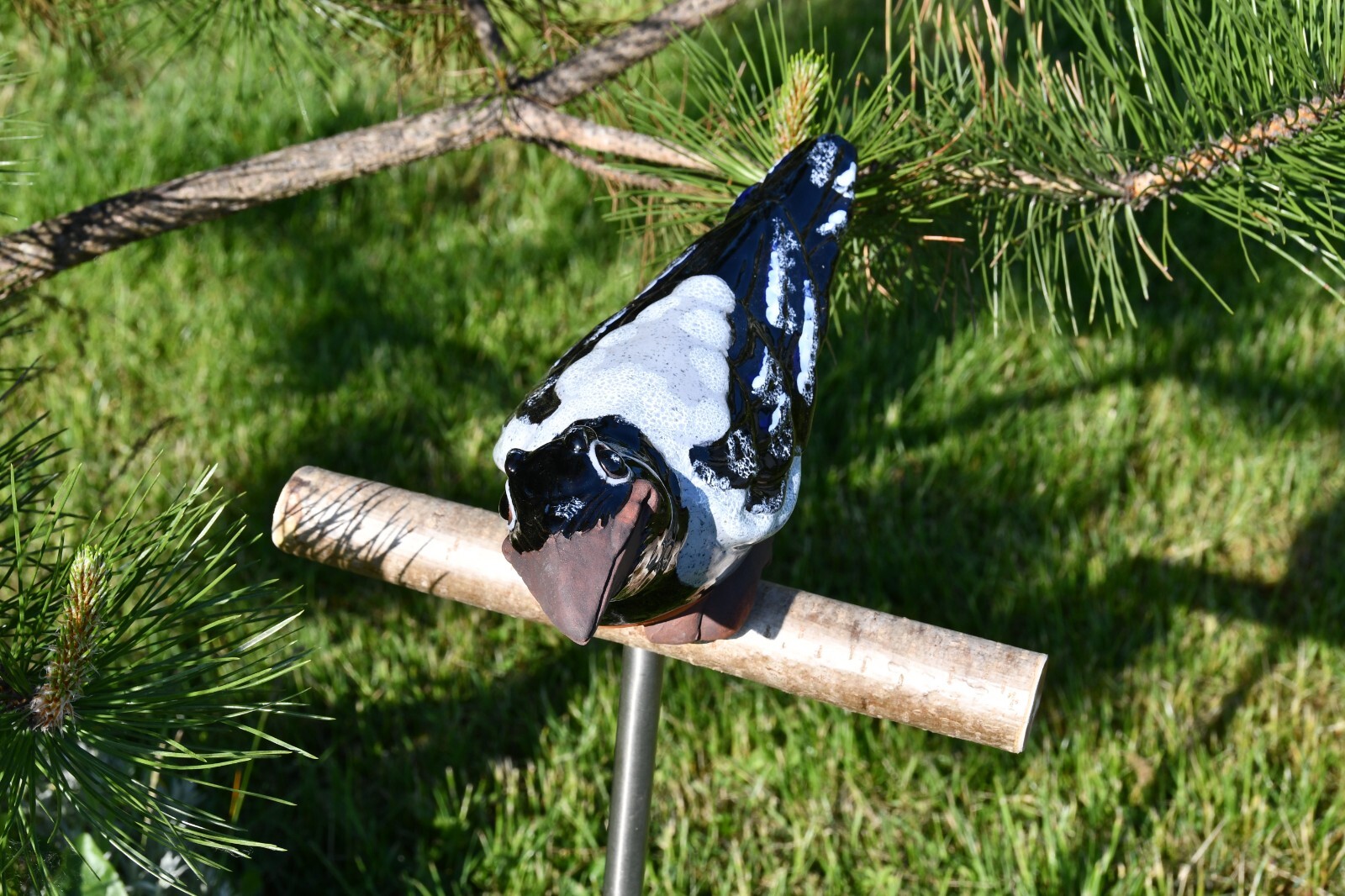 Bild 8 von 12