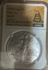 2025 (P) American Eagle Silver Dollar