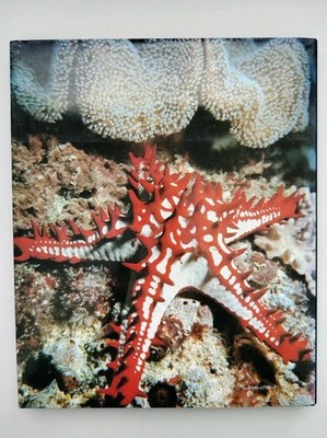 Jacques Cousteau's Calypso by Alexis Sivirine and Jacques Cousteau