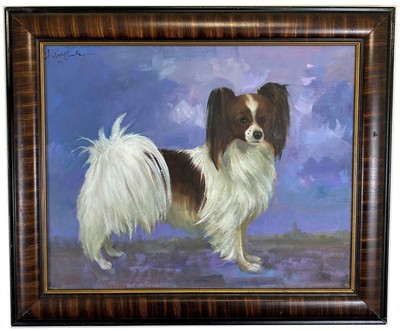 papillon puppies for sale trading post