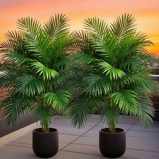 2pcs - Artificial Green Plant with 24 Leaves, Fluffy Tail Palm Tree