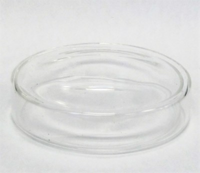 Large glass tissue culture plate petri dish lab 150 mm 6''  biology glassware New