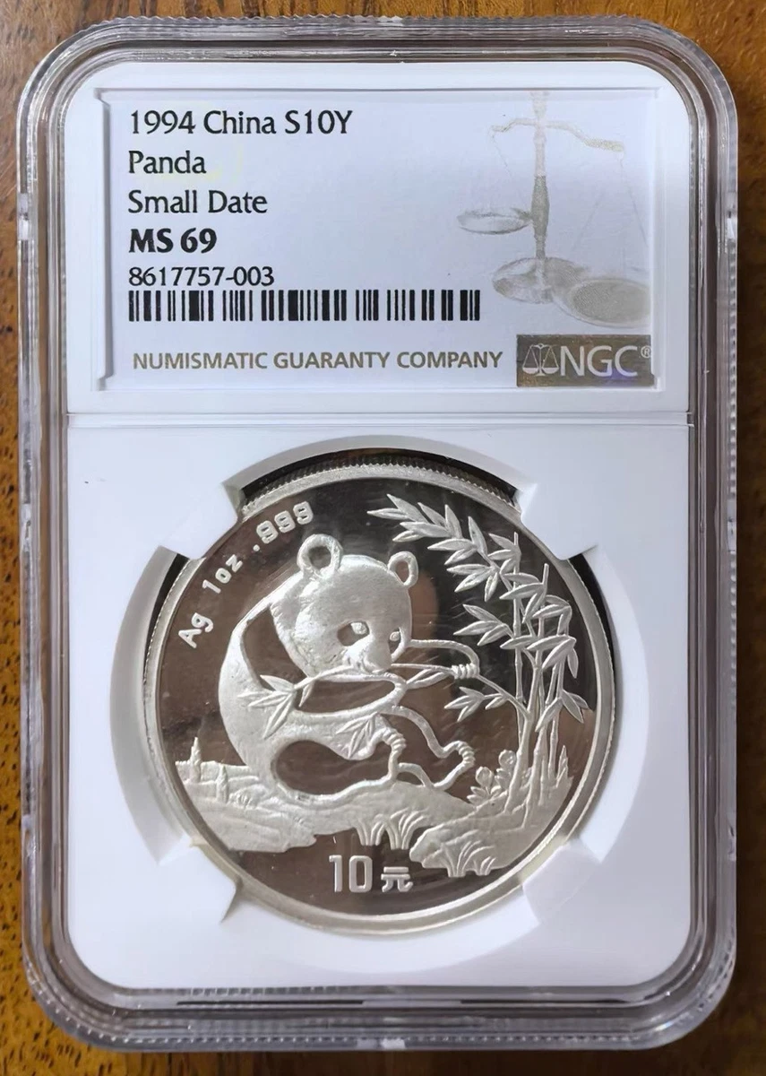 1994 Silver Panda for sale | eBay