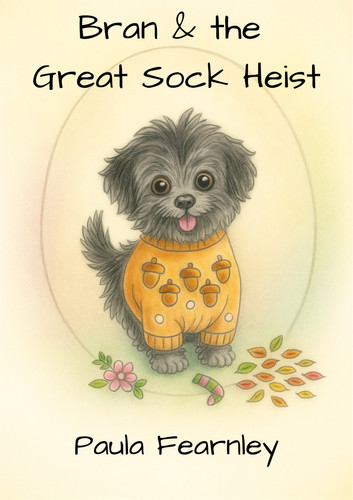 Children's Books from Oggy.press - 'Bran & the Great Sock Heist'
