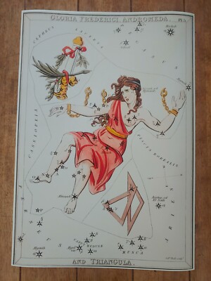 Gloria Frederici, Andromeda Astronomic Illustration Sidney Hall 1831 Reprint