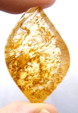 ip16 Dendrite Quartz 30.24ct 20x31x7mm free form picture stone agate dendritic