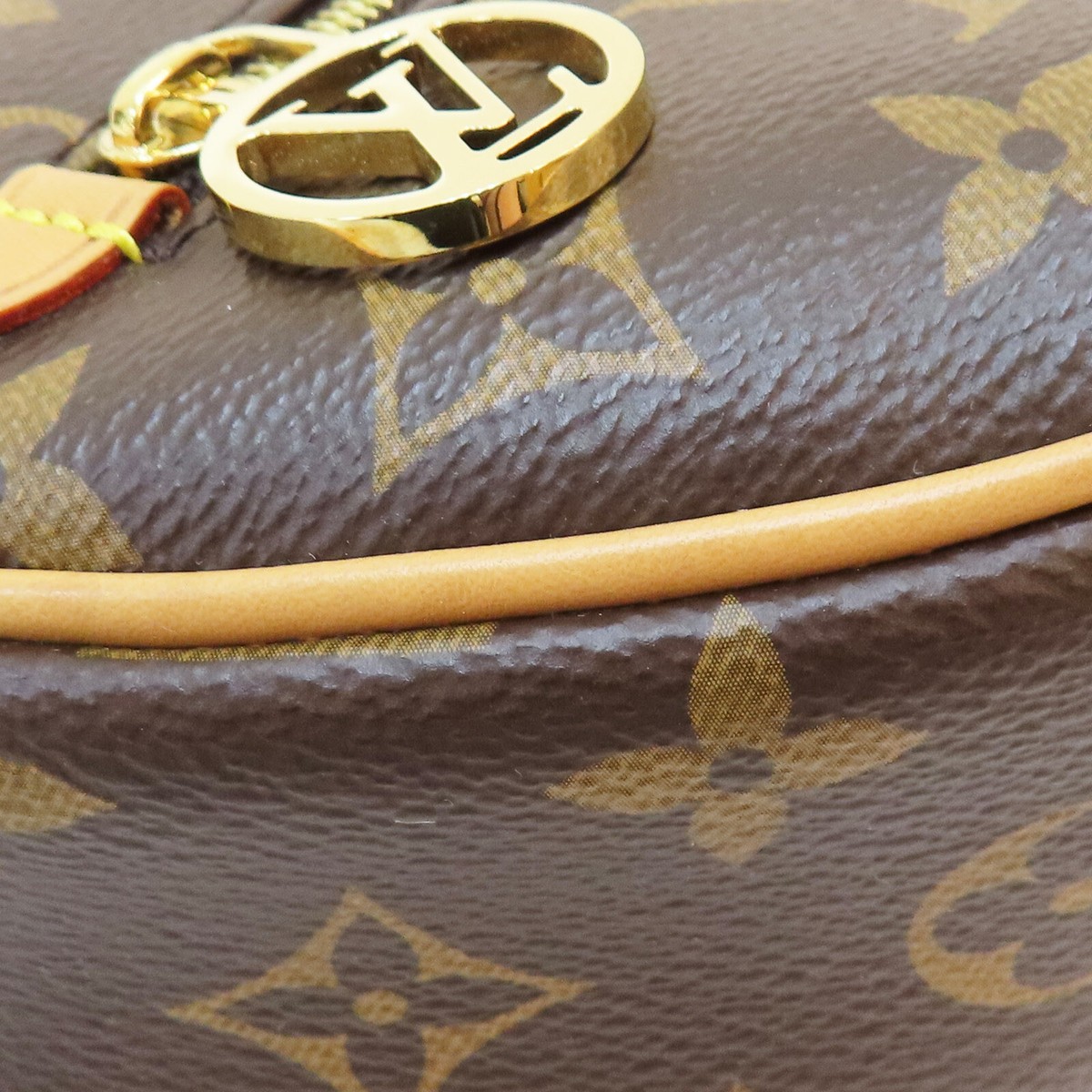 LOUIS VUITTON Loop Hobo Shoulder Bag Monogram Canvas Brown LOUIS VUITTON Loop Hobo Shoulder Bag Monogram Canvas Brown