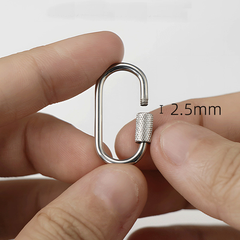 2pcs Mini Climbing Stainless Steel Screw Carabiner Lock Clasp Keychain Clip Hook