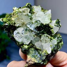 142G Rare! Natural Garden quartz cluster specimen mineral healing from SiChuan