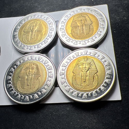2008 Egypt 1 Pound King Tut Bi-metal (randomly Picked From 4 Pictured) X2112 - Picture 2 of 8