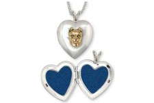 Pit Bull Jewelry Silver And 14k Gold Handmade Pit Bull Photo Locket  PAS22X-TNT
