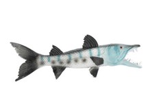 Fish, Barracuda Realistic Toy Figure, Model, Replica Educational 10" CH382 BB143