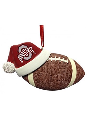 Ohio State Buckeyes Santa Hat with 