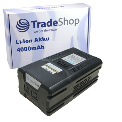 Premium Akku 80V 4000mAh Li-Ion kompatibel mit Greenworks Pro 80V Geräte