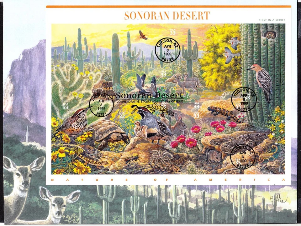1999 Sonoran Desert 1st Nature of America 33c Sc 3293 FDC sheet 10 Fleetwood - Image 2 of 3