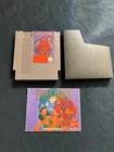 Prince of Persia (Nintendo Entertainment System, 1992) NES, Cartridge & Manual