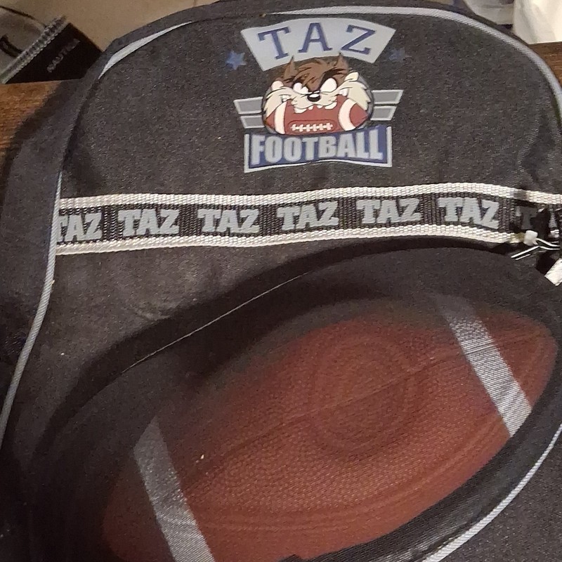 Taz Tasmanian Devil Football Logo Kids Backpack Medium Polyester Zip Black