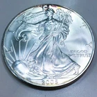 2005 1 oz American Silver Eagle .999 Silver Beautiful Uncirculated Coin