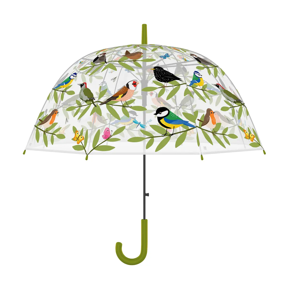 Pioggia Ombrello Trasparente Uccelli Stock Automatico Uccello Adulti  Colorato