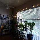 Picture 5 of 5