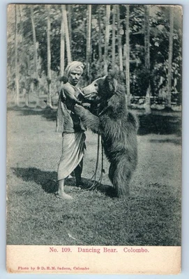 Ceylon/Sri Lanka Postcard Dancing Bear Colombo c1920's Antique Unposted - Image 1 of 2
