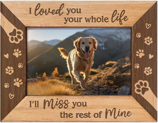 1 Pet Memorial Picture Frame for Loss of Dog or Cat Fits 6 X 4 Inch Photo