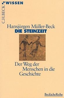 Die Steinzeit: Der Weg der Menschen in die Geschichte (B... | Buch | Zustand gut
