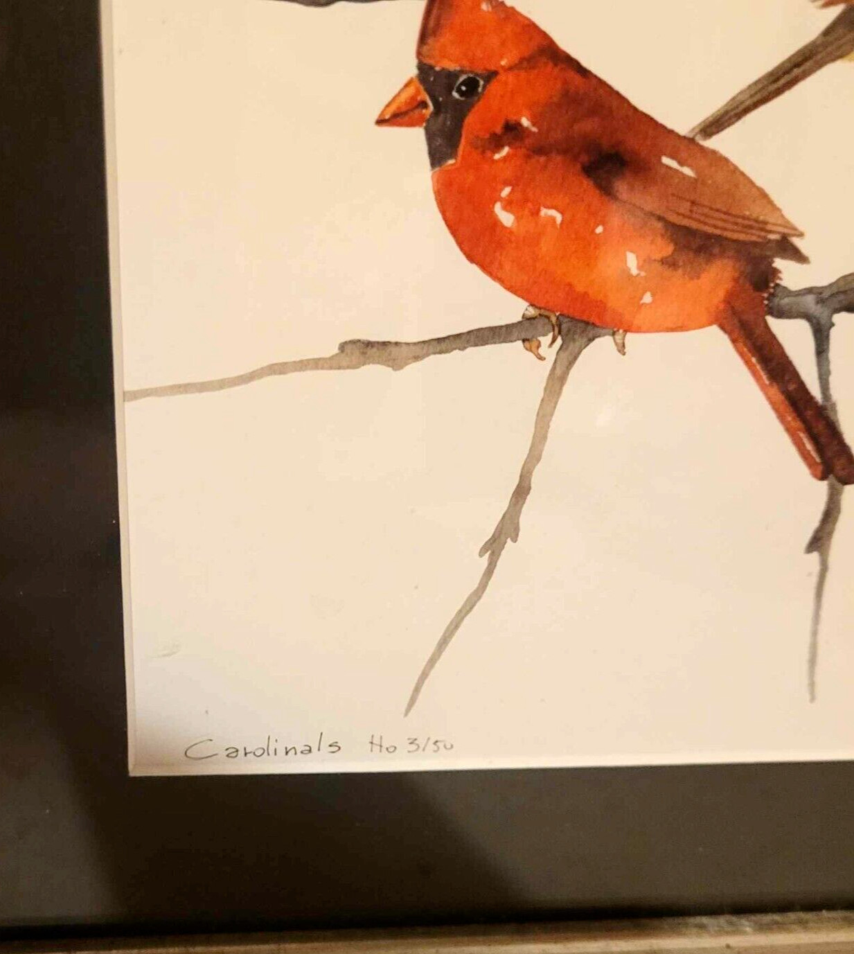 colourful Bird Print Framed Wall Hanging Cardinal numbered  3/50 signed 14x13"