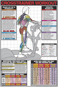 Gym Wall Charts