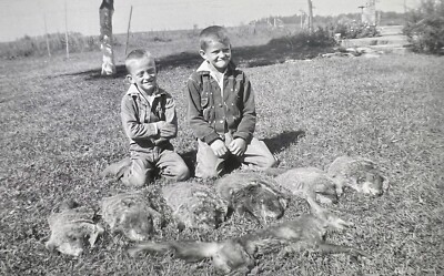 ORIGINAL 1950s PHOTO KIDS HUNTING GROUNDHOGS FOX  5 X 3.5 