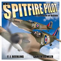 F. J. Beerling | Wwii Spitfire Pilot AT THE BAT | Taschenbuch | Englisch (2017)