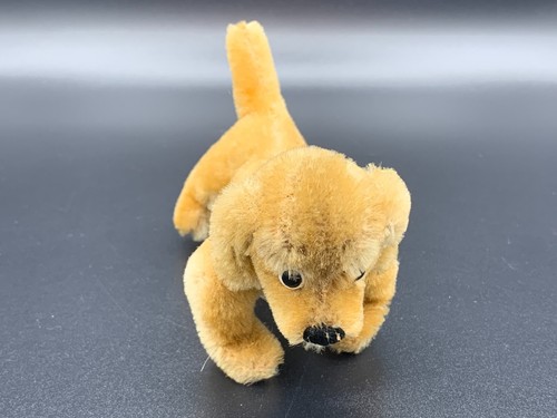 1950's German Steiff Mohair Hexie Dachshund Dog Button Flag Red Leather Collar - Picture 3 of 12
