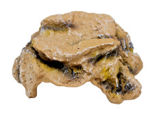 REPTILE FISH CAVE HIDEAWAY D COR 7.5  x 6  x 3  TALL 2 OPENINGS HEAVY RESIN