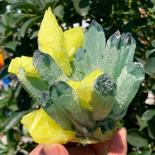 Cuarzo fantasma verde nuevo de 1,36 lb con muestra mineral en racimo de azufre amarillo - Imagen 8 de 15