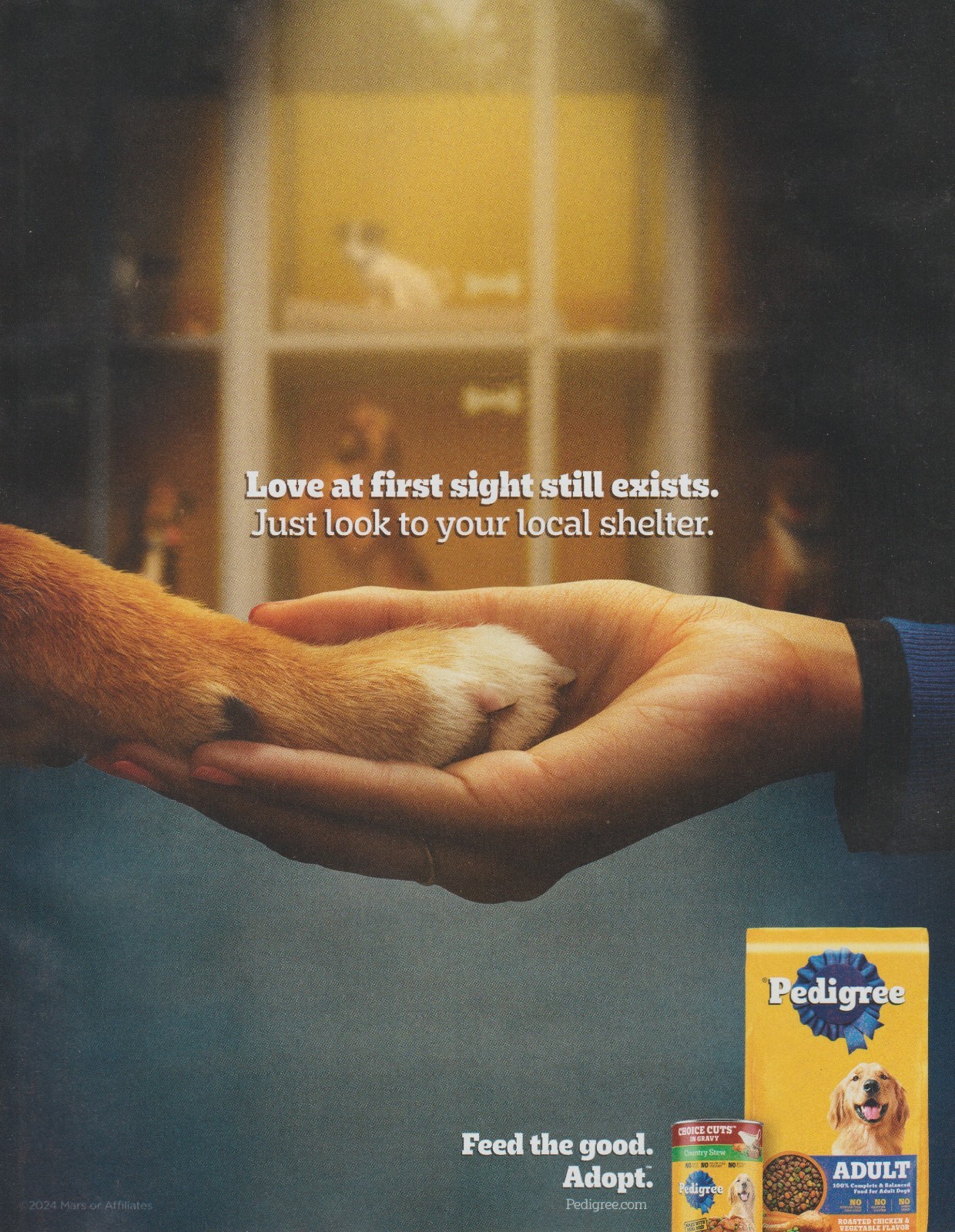 - "love At First Sight" - Paw Handshake - Print Ad Photo
