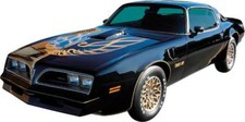 76-78 Bandit Trans Am Special Edition Complete Gold Decal Kit W Stripes -us Made