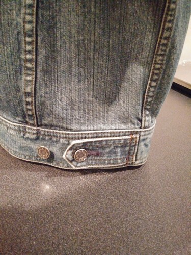 Harley-Davidson women's embroidered denim jacket Pinstripe & Custom Speed sz. S - Picture 7 of 8