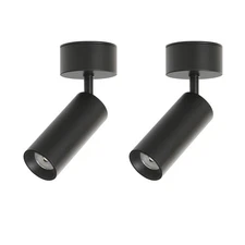 2Pcs COB LED Ceiling Lamp Living Room 360° Rotational Picture Light Wall Fixture