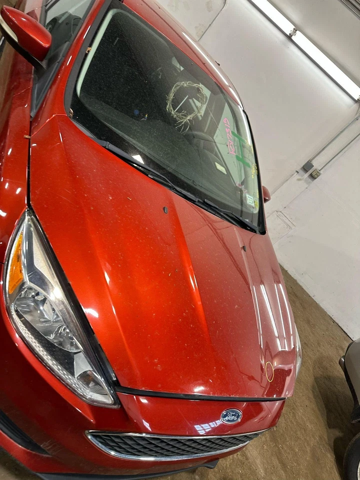 (SOLO PICKUP LOCAL) 15 16 17 18 FORD FOCUS Capó Foto 3 de 4