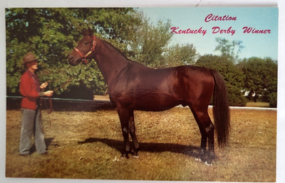 #ad 1953 LEXINGTON KY PC CALUMET FARM#x27;S CITATION KENTUCKY DERBY WINNER Mint $7.99
