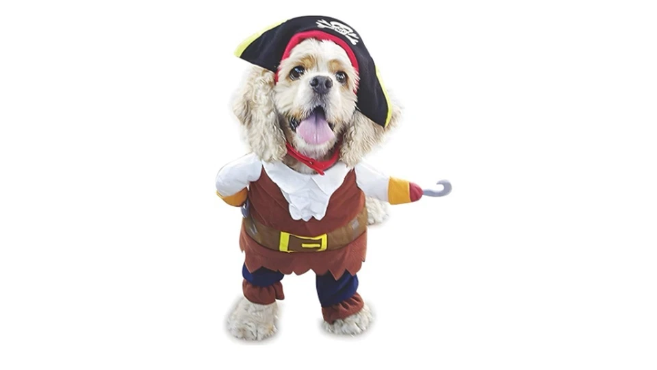 Disfraz de perro mascota estilo piratas del Caribe (medio) de NACOCO Foto 2 de 4